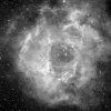 Caldwell 49, NGC 2237 Rosettennebel, 4900 Lj.