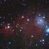 NGC 2264 Christmastree Haufen und Konusnebel 2500 Lj.