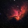 NGC 7380 Sh2-142 Wizard-Nebel, 7000 Lj.